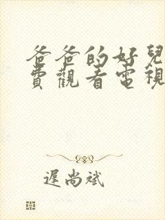 爸爸的好儿子免费观看电视剧高清