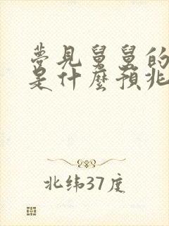 梦见舅舅的棺材是什么预兆