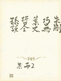 孙哲叶巧朱颜小说全文无删减免费阅读