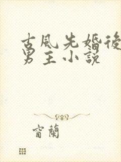 古风先婚后爱双男主小说