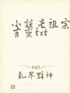 小说老祖宗在天有灵txt