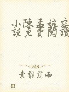 小陈孟婉容的小说免费阅读