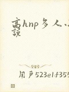 高hnp多人小说