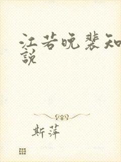 江若晚裴知煜小说封面