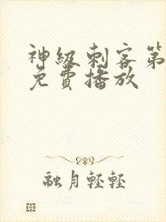 神级刺客第二季免费播放