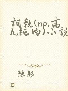 调教(np,高h,纯肉)小说