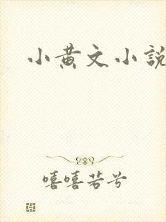 小黄文小说