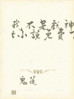 我不是戏神txt小说免费下载