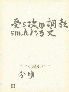 受s攻m调教(sm,h)污文封面