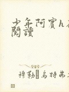 少年阿宾h在线阅读