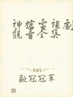 神枪电视剧免费观看全集