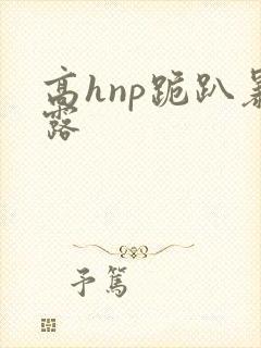 高hnp跪趴暴露封面