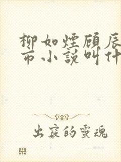 柳如烟顾辰的都市小说叫什么