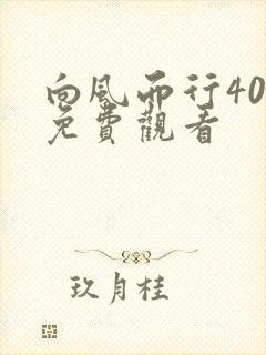 向风而行40集免费观看