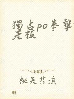 独占po拳击馆老板