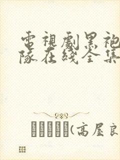 电视剧黑袍纠察队在线全集免费观看