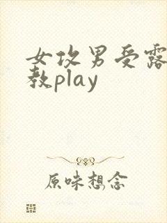 女攻男受露出调教play