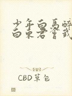 少年白马醉春风白东君会武功吗封面