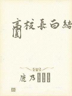 高校长白结大团圆封面
