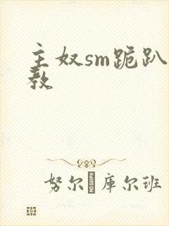 主奴sm跪趴调教