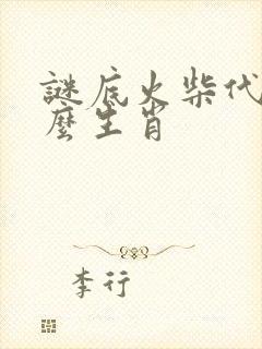 谜底火柴代表什么生肖