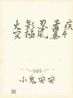 火影忍者疾风传究极风暴4