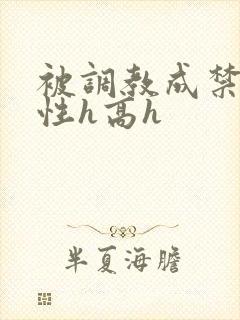 被调教成禁脔双性h高h