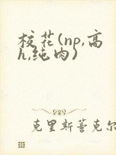 校花(np,高h,纯肉)