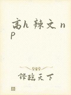 高h 辣文 np
