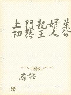 上门龙婿叶辰萧初然主人公封面