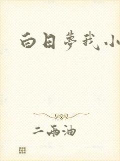 白日梦我小说
