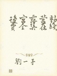 后宫露营动漫免费全集在线观看