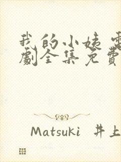 我的小姨 电视剧全集免费观看封面