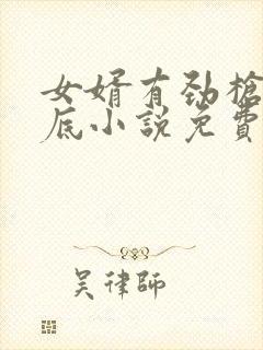 女婿有劲枪枪到底小说免费看封面