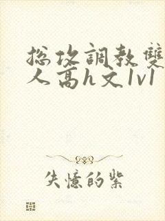 总攻调教双性美人高h文1v1封面