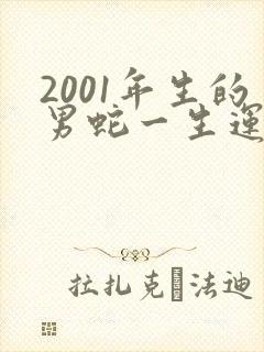 2001年生的男蛇一生运程