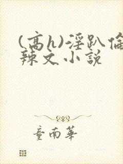 (高h)淫趴伦辣文小说