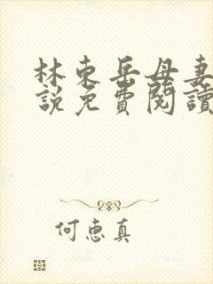 林东岳母妻子小说免费阅读全文无弹窗