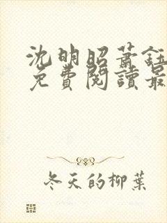 沈明昭萧钰全文免费阅读最新章节