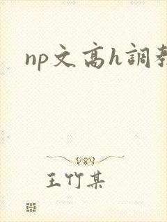 np文高h调教