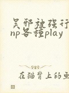吴邪被强行糟蹋np各种play封面