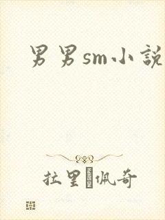 男男sm小说