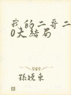 我的二哥二嫂40大结局