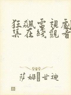 狂飙电视剧40集在线观看免费高清不卡