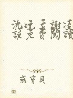 沈晚柔谢凌安小说免费阅读最新章节