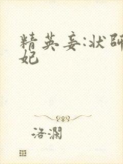 精英妾:状师王妃