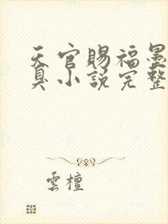 天官赐福墨香铜臭小说完整版下载txt