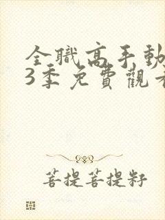 全职高手动漫第3季免费观看