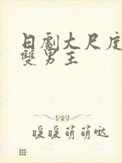 日剧大尺度推荐双男主