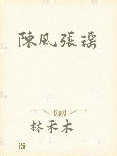 陈风张瑶